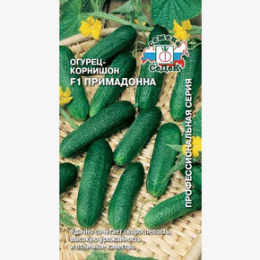 огурец Примадонна/ Седек