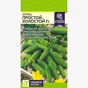 Огурец Простой Холостой/ Семена Алтая 10 шт.!!!