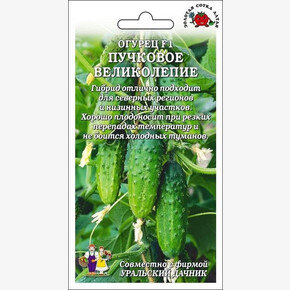 Огурец Пучковое великолепие /Сотка + УД/