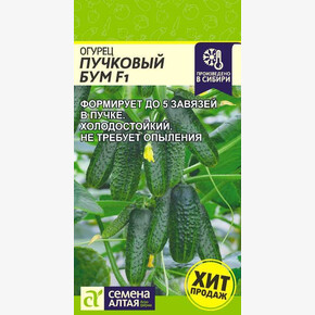 Огурец Пучковый Бум/ Семена Алтая 5 шт.