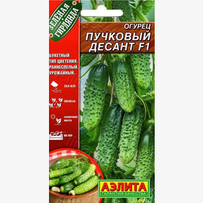Огурец Пучковый десант/ Аэлита