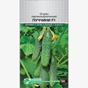 Огурец ПУЧЧИНИ (8 шт) / Rijk Zwaan/ Евросемена
