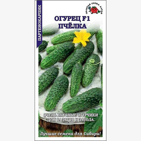 Огурец Пчелка /Сотка/ 5 шт