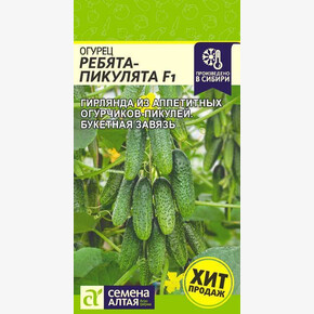 Огурец Ребята-Пикулята/ Семена Алтая 5 шт.!