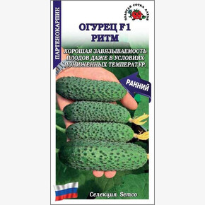 Огурец Ритм /Сотка/ 5шт