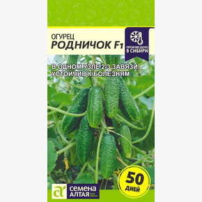 Огурец Родничок/ Семена Алтая