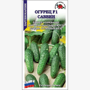 Огурец Саввин/ Сотка 5шт