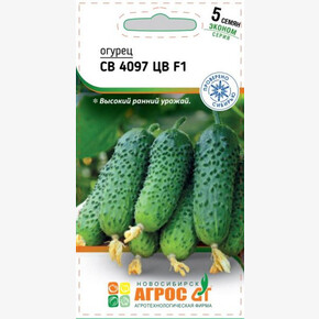 Огурец СВ 4097 ЦВ 5шт/ Агрос