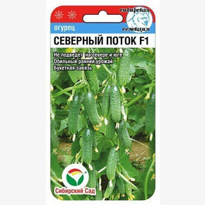 Огурец СЕВЕРНЫЙ ПОТОК 7шт/ Сибсад