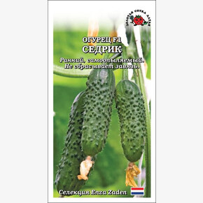 Огурец Седрик/ Сотка 5шт