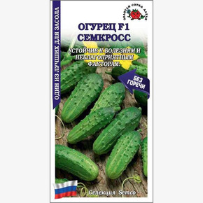 Огурец Семкросс /Сотка/ 0,3г/ пчелооп. ранний 10-12см/*1200