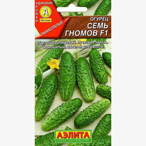 Огурец Семь Гномов /Аэлита