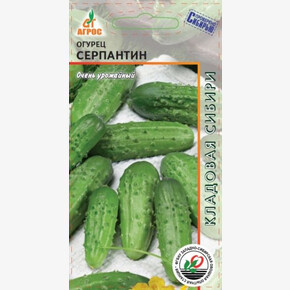 огурец Серпантин