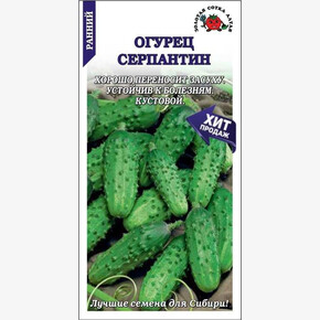Огурец Серпантин цветной/ Сотка