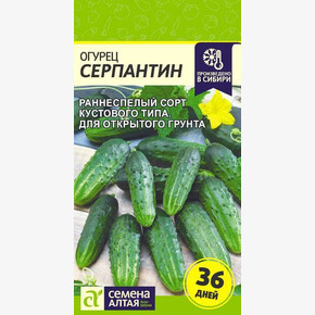 Огурец Серпантин/Сем Алт/цп 0,5 гр. Сибирская Селекция!