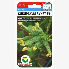 Огурец СИБИРСКИЙ БУКЕТ 7шт/ Сибсад