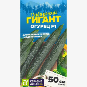 Огурец Сибирский Гигант/ Семена Алтая 10 шт.! СЕРИЯ СИБИРСКИЕ ГИГАНТЫ!
