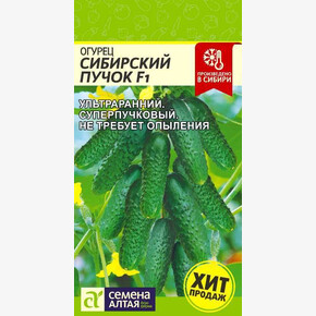 Огурец Сибирский Пучок/ Семена Алтая 5 шт.!