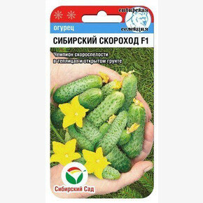 Огурец Сибирский скороход 7шт/ Сибсад