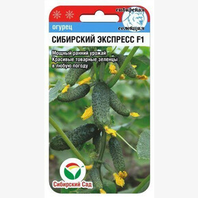 Огурец СИБИРСКИЙ ЭКСПРЕСС 7шт/ Сибсад