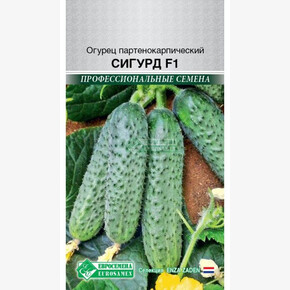 Огурец СИГУРД 5 шт/ Евросемена