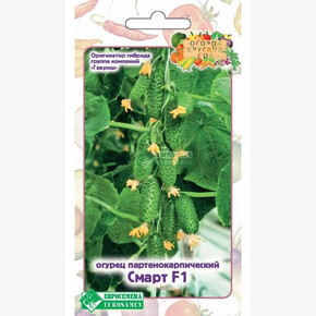 Огурец СМАРТ 5 шт/ Евросемена