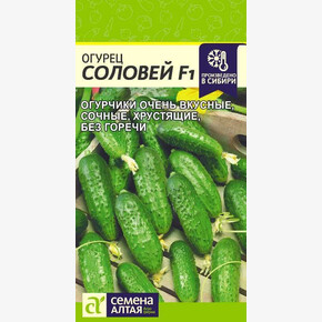Огурец Соловей F1/Сем Алт/цп 0,3 гр.