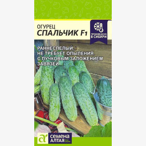 Огурец Спальчик/ Семена Алтая/цп 5 шт.