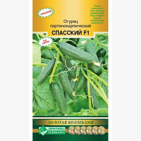 Огурец СПАССКИЙ 3 шт/ Евросемена