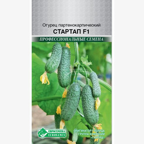 Огурец Стартап F1/ Евросемена