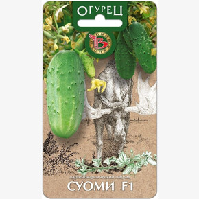 Огурец Суоми / Биотехника