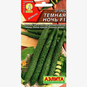 Огурец Темная Ночь/ Аэлита