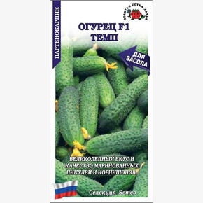 Огурец Темп/ Сотка
