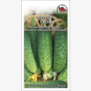 Огурец Троя /Сотка/ 0,3г
