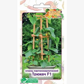 Огурец ТРЮКАЧ (5 шт)/ Евросемена