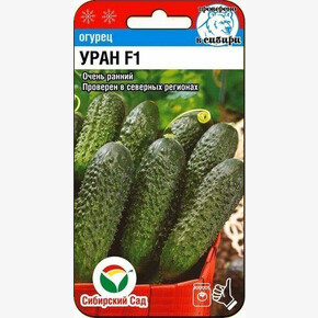 Огурец Уран F1 5шт Сиб Сад