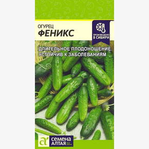 Огурец Феникс/ Семена Алтая 0,5 гр.