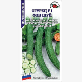 Огурец Фэн Шуй китайский /Сотка/ 5шт