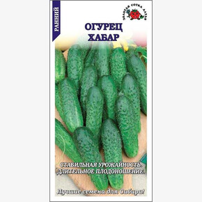 Огурец Хабар /Сотка/ 0,5 г