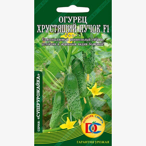 огурец Хрустящий пучок F1 /5 шт Дем Сиб/