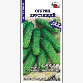 Огурец Хрустящий/ Сотка