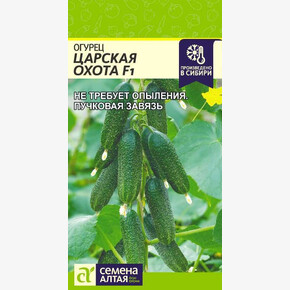 Огурец Царская Охота /Семена Алтая/цп 5 шт.