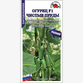 Огурец Чистые пруды /Сотка / 0,2г