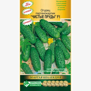 Огурец Чистые пруды/ Евросемена