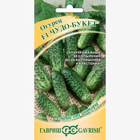 Огурец Чудо букет /Гавриш