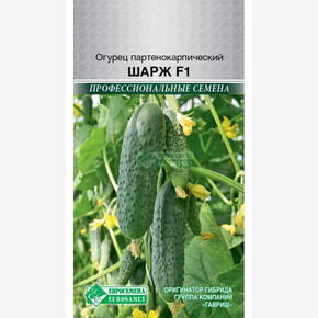 Огурец ШАРЖ 7 шт/ Евросемена