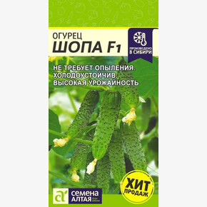 Огурец Шопа/ Семена Алтая/цп 5 шт.