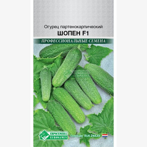 Огурец ШОПЕН 5 шт /Rijk Zwaan/ Евросемена