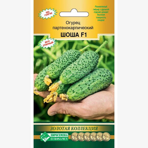 Огурец ШОША (5 шт)/ Евросемена