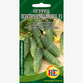 огурец Шустрец - Молодец F1 /5 шт Дем Сиб/